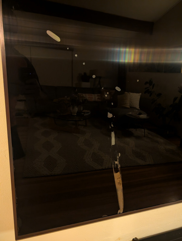 PXL 20251104 102052737