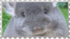 made by @transmascgarfield on tumblr