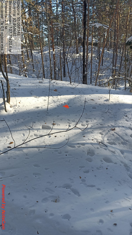 IMG 20260204 140411