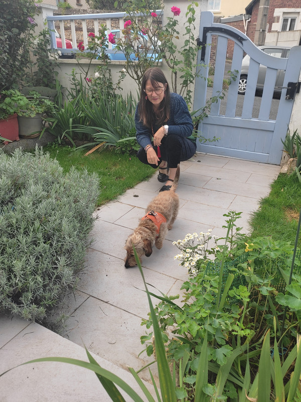 [Image: IMG-20230926-111917.jpg]