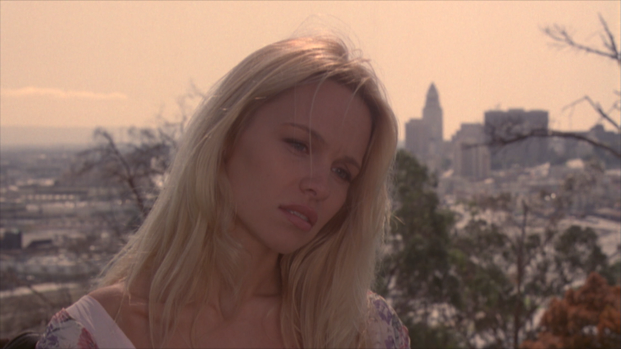 Знак дракона.1993.BDRemux.1080p.R.G. Goldenshara.mkv_snapshot_00.29.50_[2022.09.22_01.42.49]