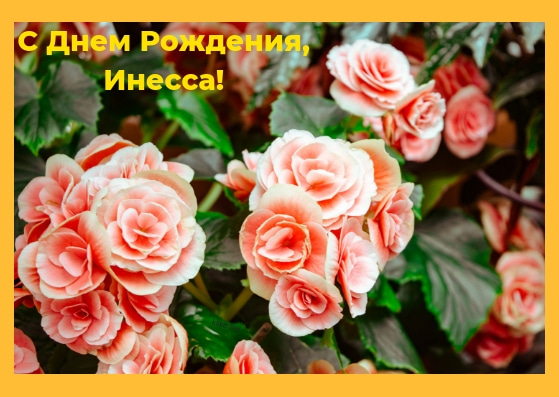 https://i.postimg.cc/g0JMzV1R/1552634782-27.jpg