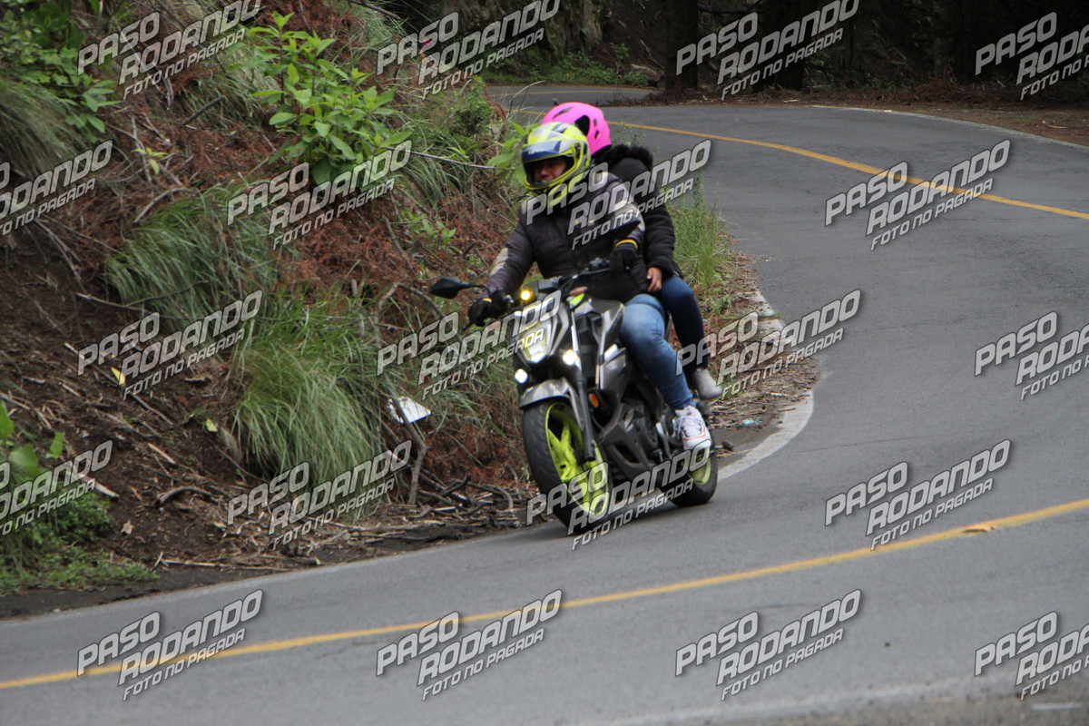 IMG 7773 wm 198747 watermarked — Postimages