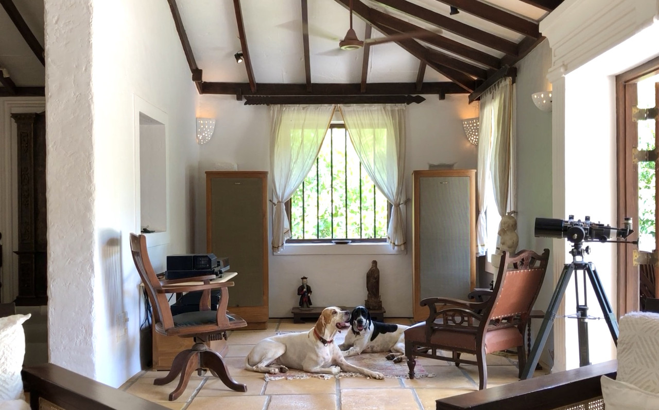 2518ABC9-3ABD-4A52-A2CC-3EB772B03475