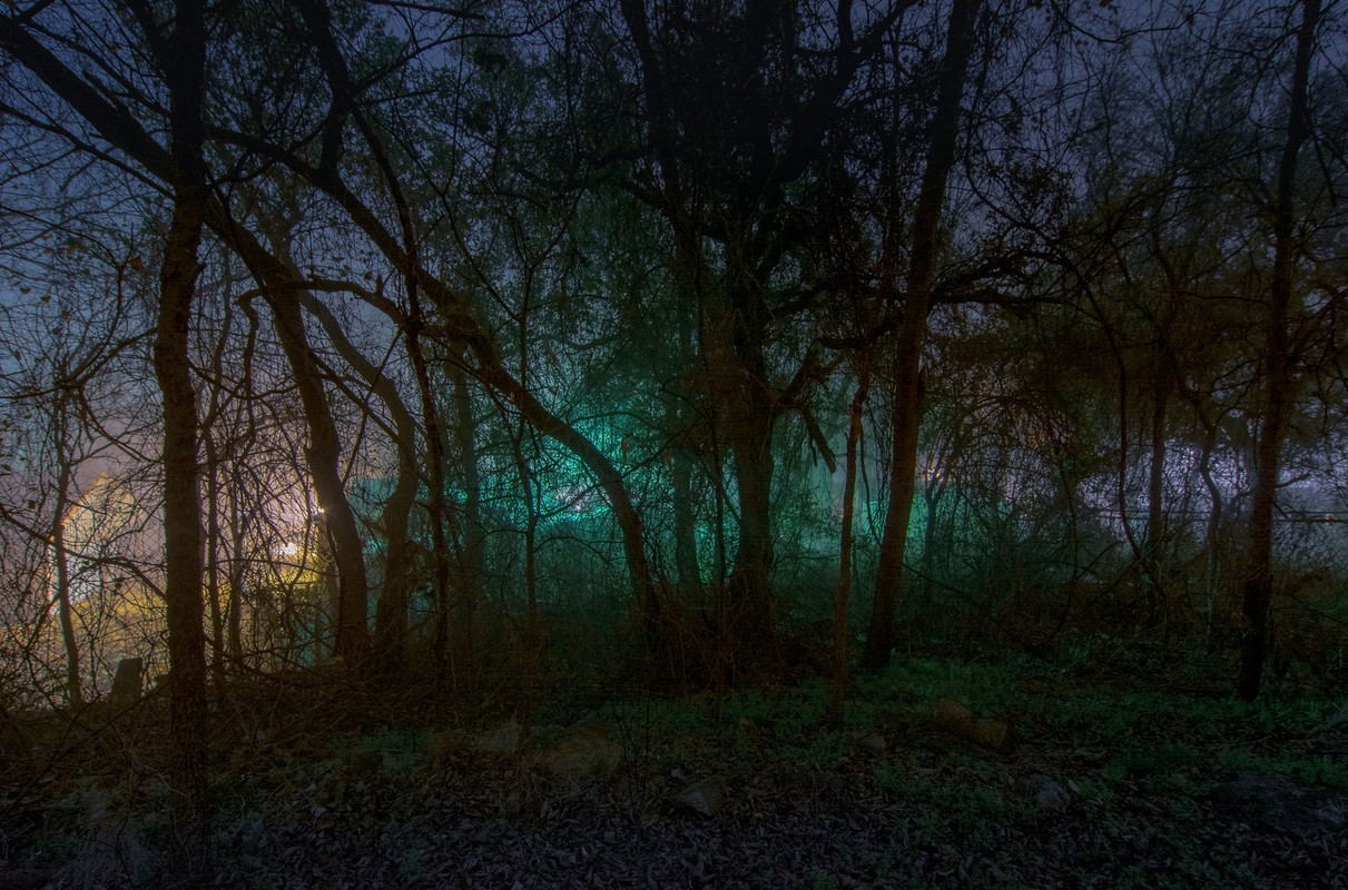 green-tree-light.jpg