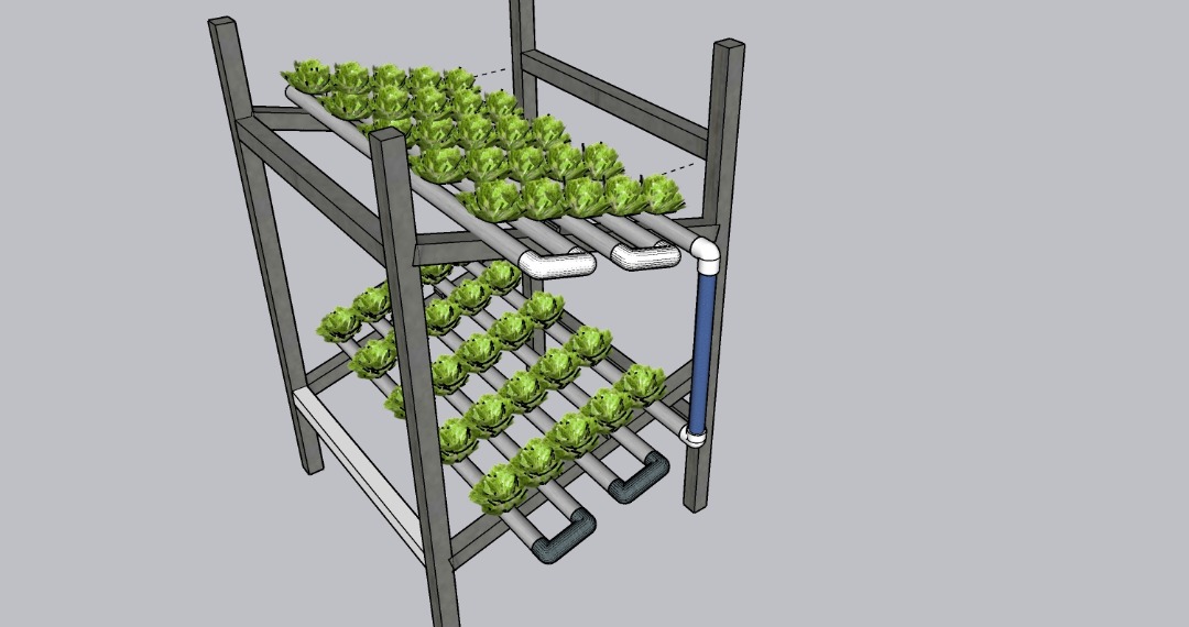 Hydroponic System