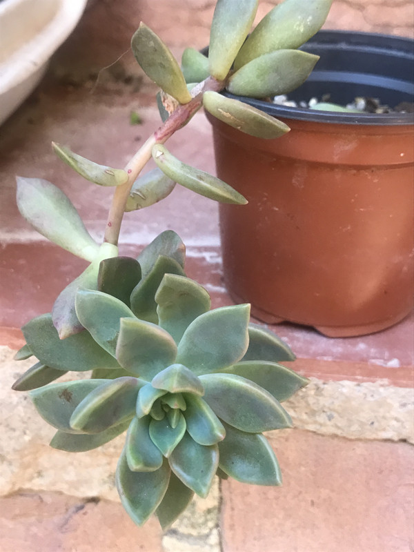 7D42F8EB-9175-41A1-B5FD-460A6425A34B