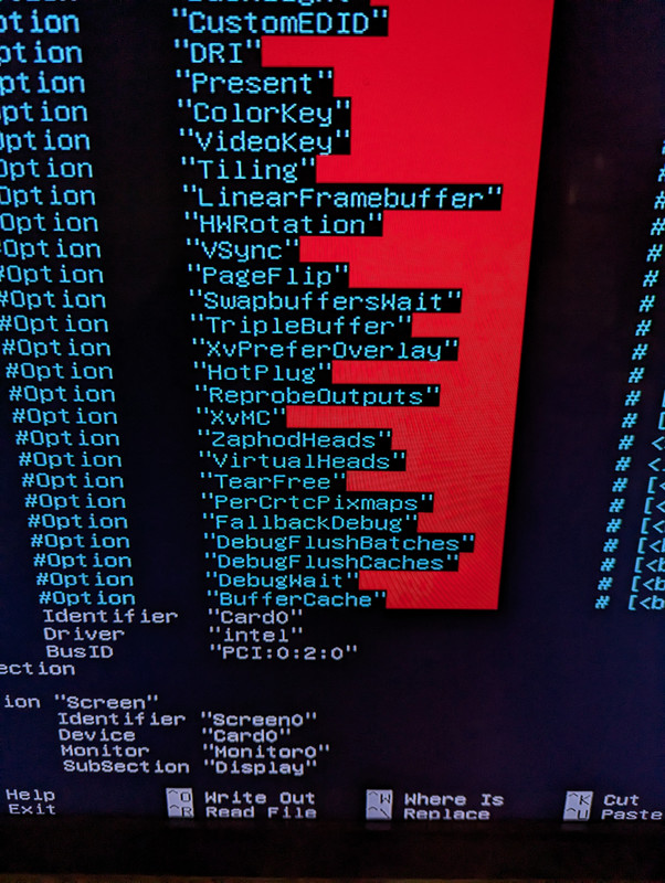 PXL-20230427-203816747.jpg