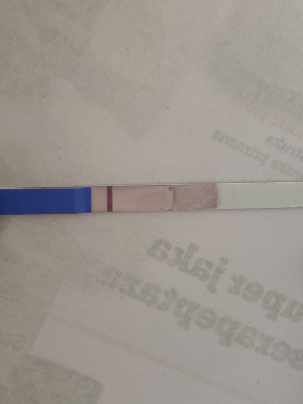 040CA0B4-0884-493D-B3C0-B9285B3F7CBB