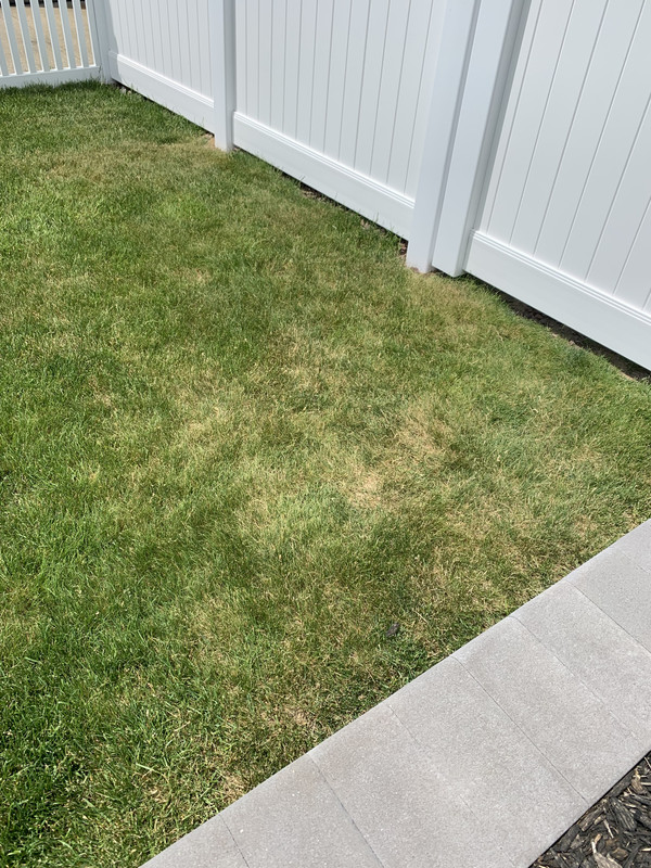 F77E81B7-5604-4918-843F-ED39471E623A