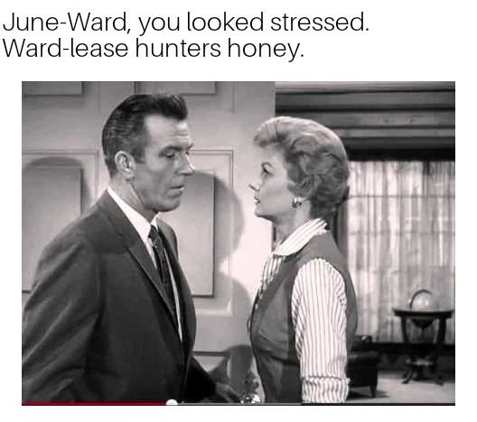 ZomboMeme 10052018174226