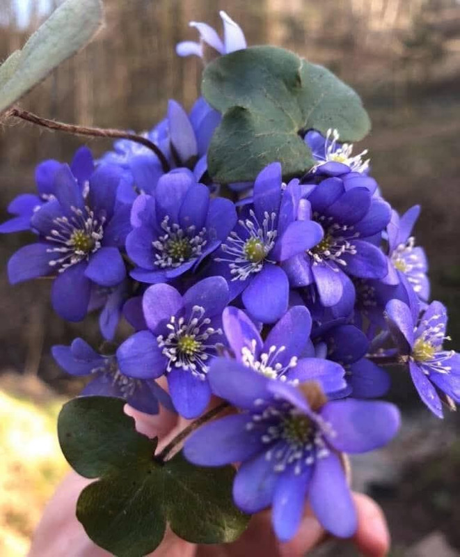 657488193-949391670820506-2684896767309641661-n