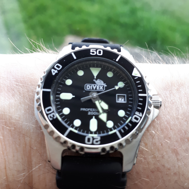 Divex watches cheap