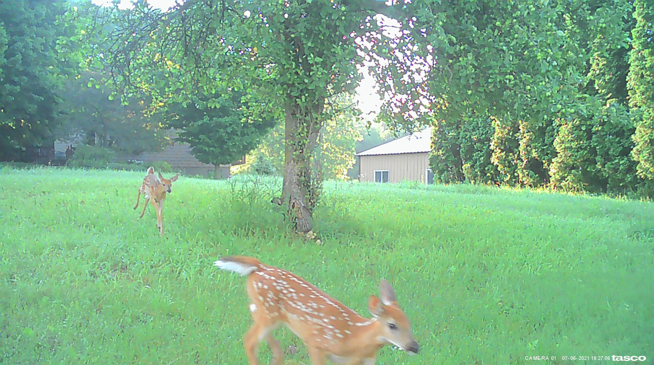 EF573376-6158-4CC8-9271-7D676DC69C0A