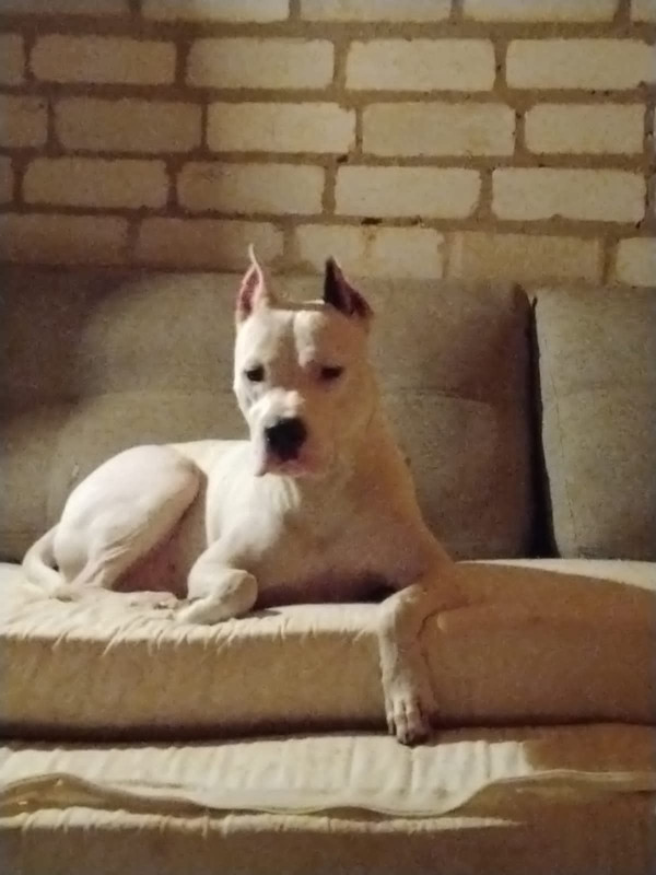 DC265649-04FD-422D-894E-59A3BF852190