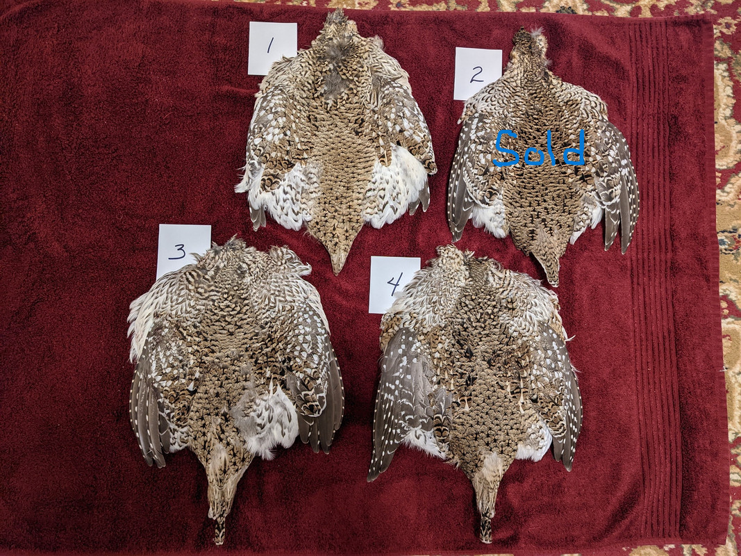 ST Pelts sold — Postimages