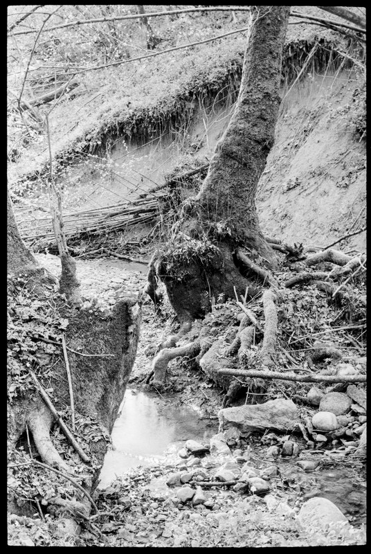 LeicaFLEX_15 apr 2022_19 (857x1280)