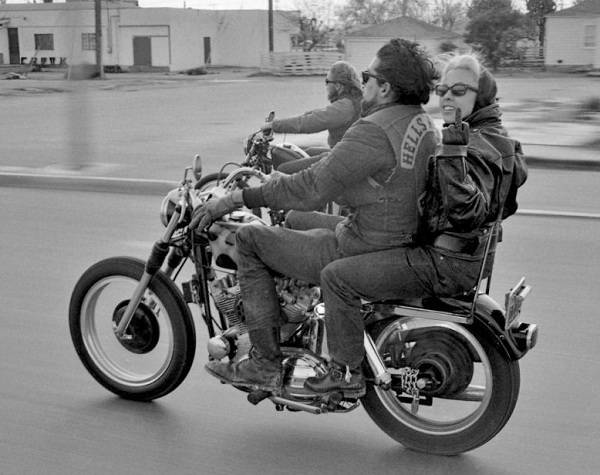 Hog riders and traffic > General Discussion > AR15.COM