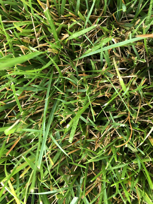 C7482705-B4CC-45CF-8B3A-87509621684F