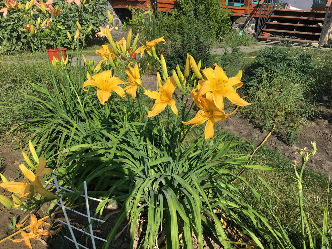 6E30B3A7-6FEE-434D-876A-EDDEBA56AD9A