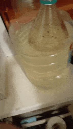 GIF-20251218-134404-808.gif