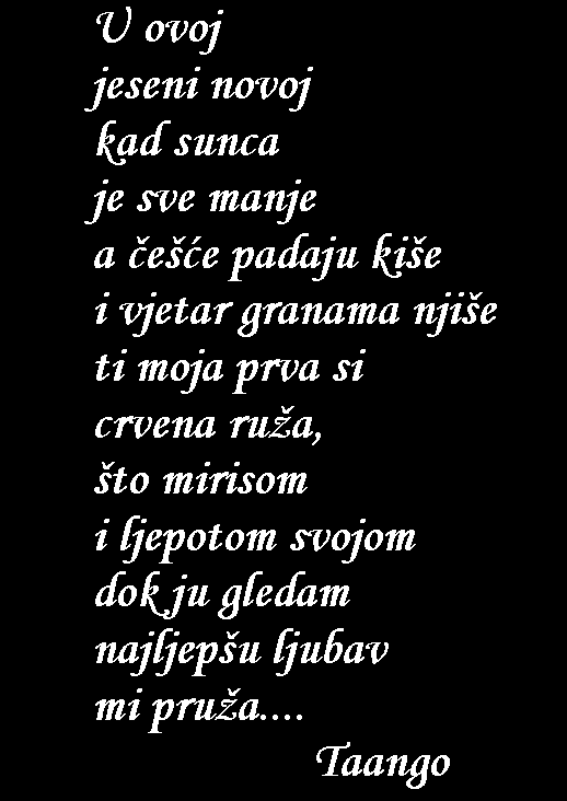 Snimka-zaslona-2025-10-17-193749