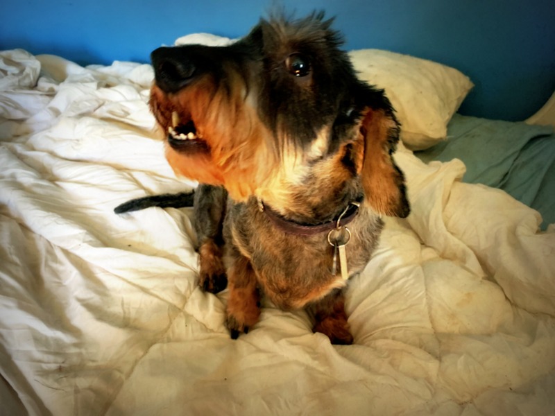 [Image: IMG-0235.jpg]