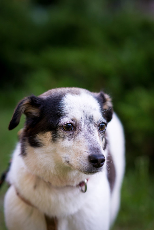 1198D28E-8E18-4526-8036-8947D97AAED9