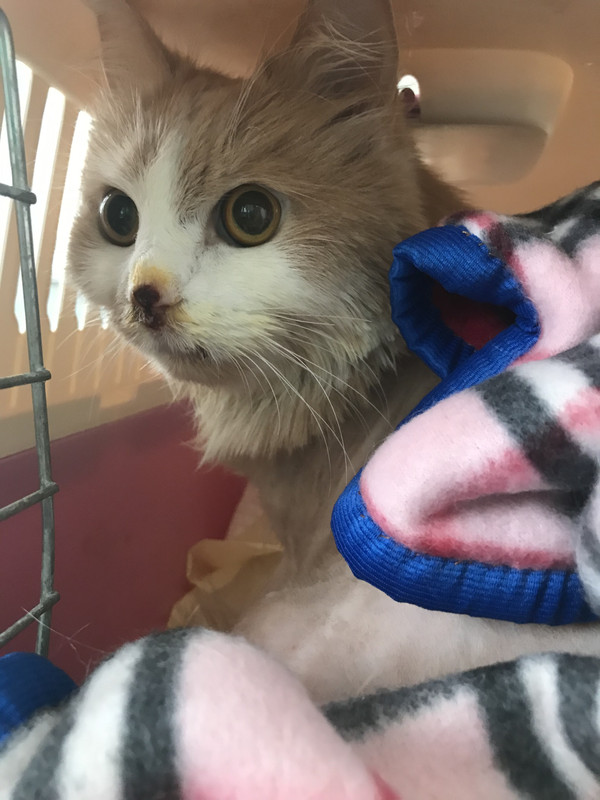 E90B7E16-D24D-4359-9F4E-5650AC0019C4