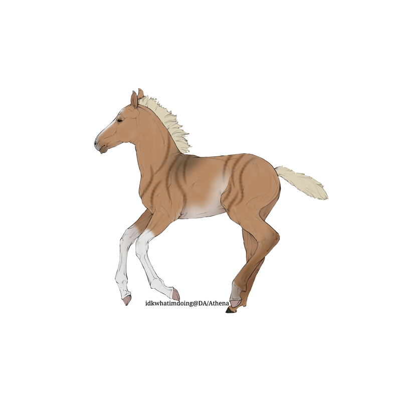 Untitled88-20250615172221.png
