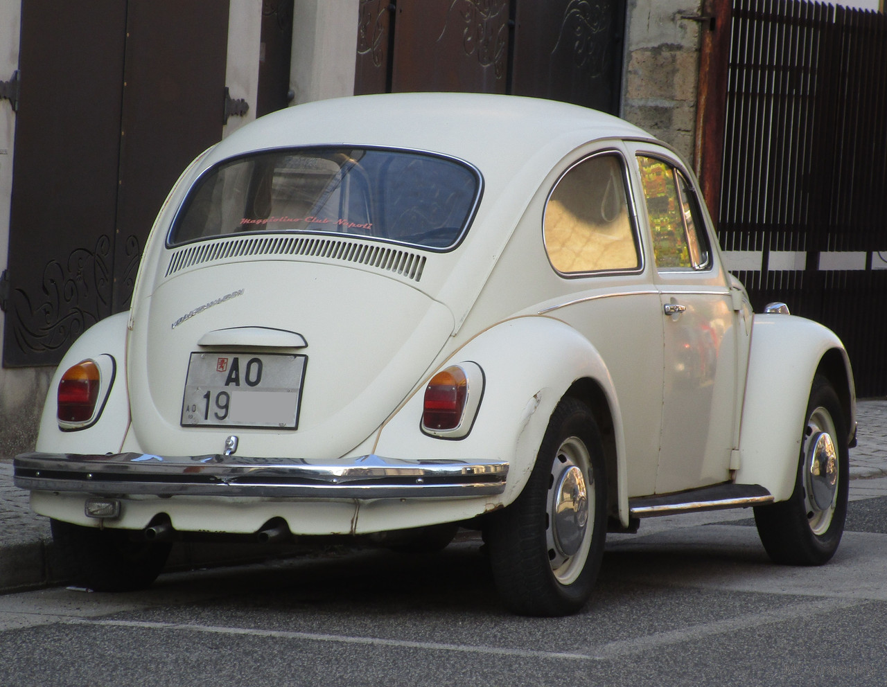 IMG-8659.jpg