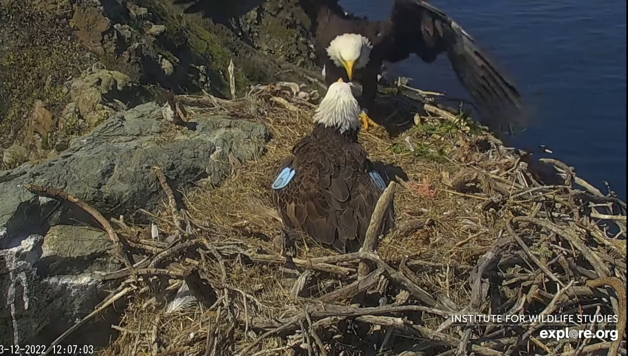 01856A66-280E-42FC-A65D-1D94A15C9392