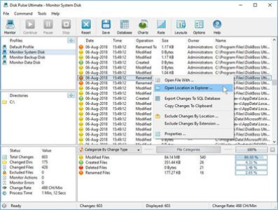 Disk Pulse Ultimate / Enterprise 11.9.24