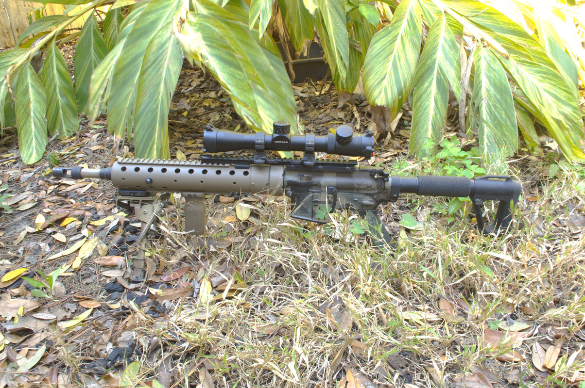 Mod H Rifle Official Mod-H (Holland) Picture and Discussion Thread > AR Discussions ...