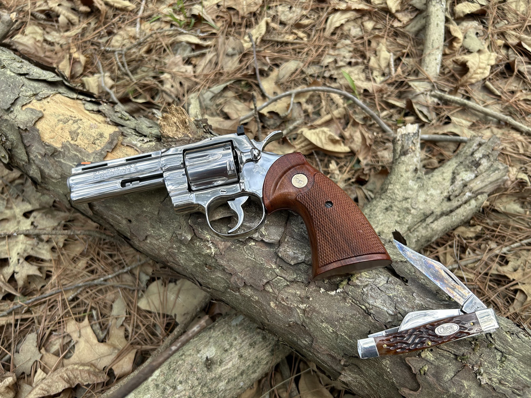 Colt-Python-Case-6392-1987.jpg