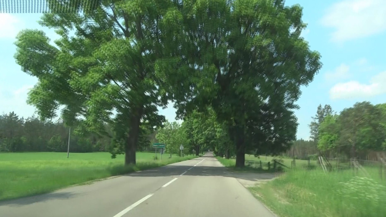 03 - Untitled_000260 (Czesio1)