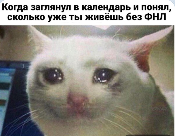 82070539-F482-42AC-A1DA-C074AB50CE8A