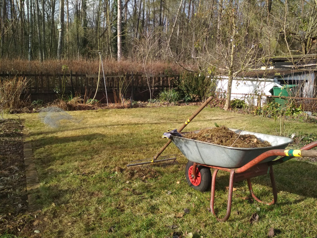 220205_Rasen kämmen