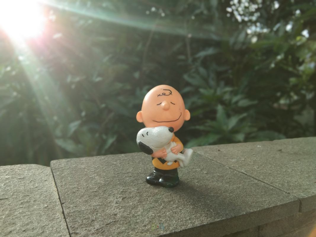 Vivo V9 - Hasil Kamera Utama 4