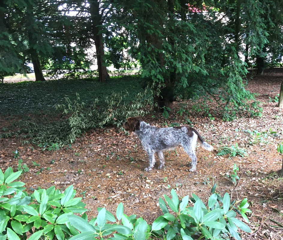 2024-01-07 Claire in het parkje IMG_3833 (002)