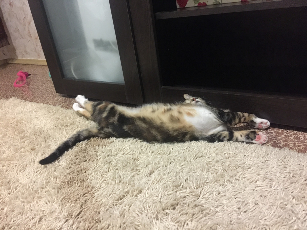 595193A5-DECC-49E6-B55E-BFECD9949A56