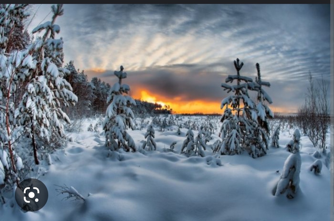 Screenshot_20221125-195848_Chrome