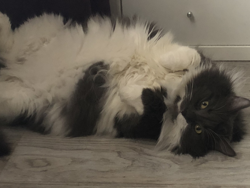 2042E5C4-0DE4-4DFA-9258-4CEBEFCD2A36