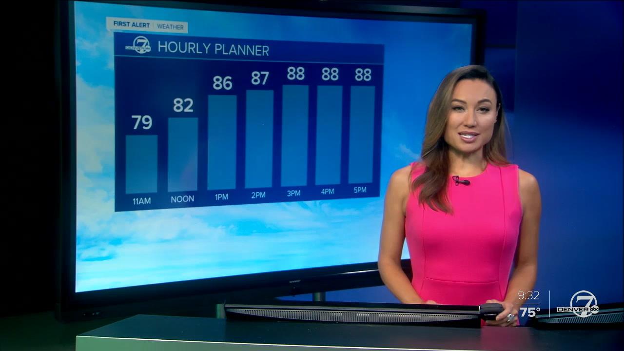 07 June - 16.00.00 - 7 News Now Sunday at 9 AM..ts_snapshot_00.33.02_[2020.06.07_17.55.44]
