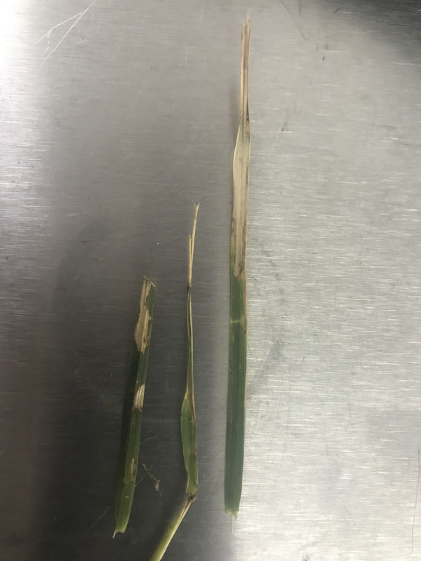 13642AC2-9948-44F4-BCB1-2986ADE5CABD