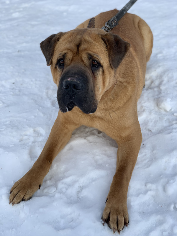 F1E8F8EF-1217-4579-9C43-2615BCCEF4D8