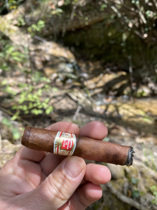 5DC978AA-07D5-4C99-9B02-78F33916644B