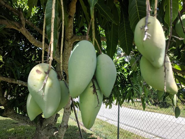 [Image: IMG-20190612-114000.jpg]