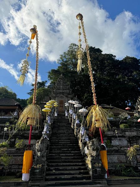 6 Aviones, 3 barcos y 2 trenes, empezando en Estambul y terminando Kuala Lump - Blogs de Indonesia - TERCERA PARADA: BALI (89)