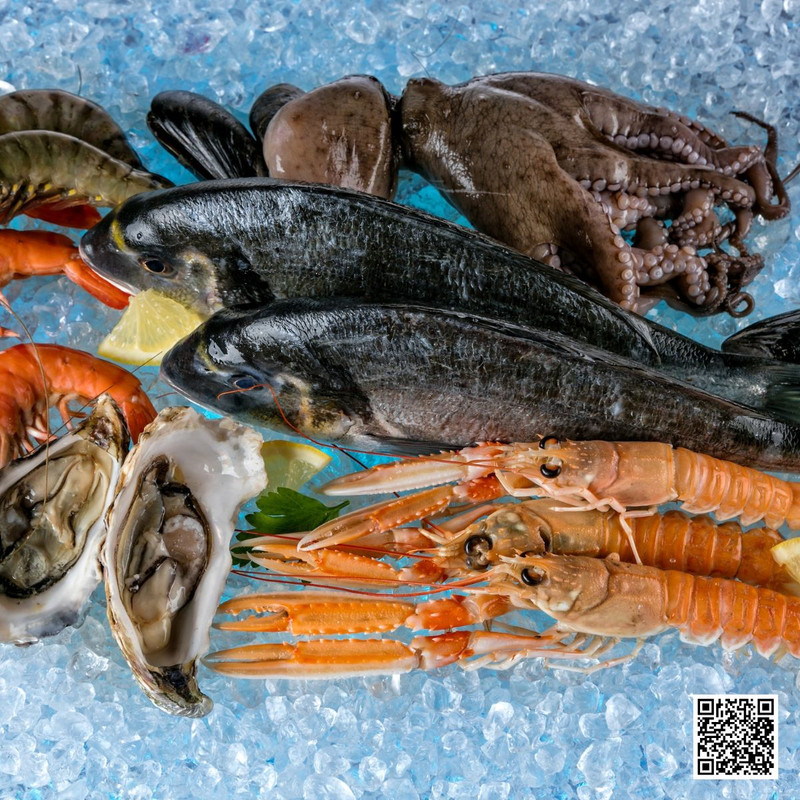 How to Store and Preserve Seafood from the Market?